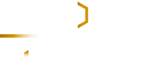 Logo INDUSECC
