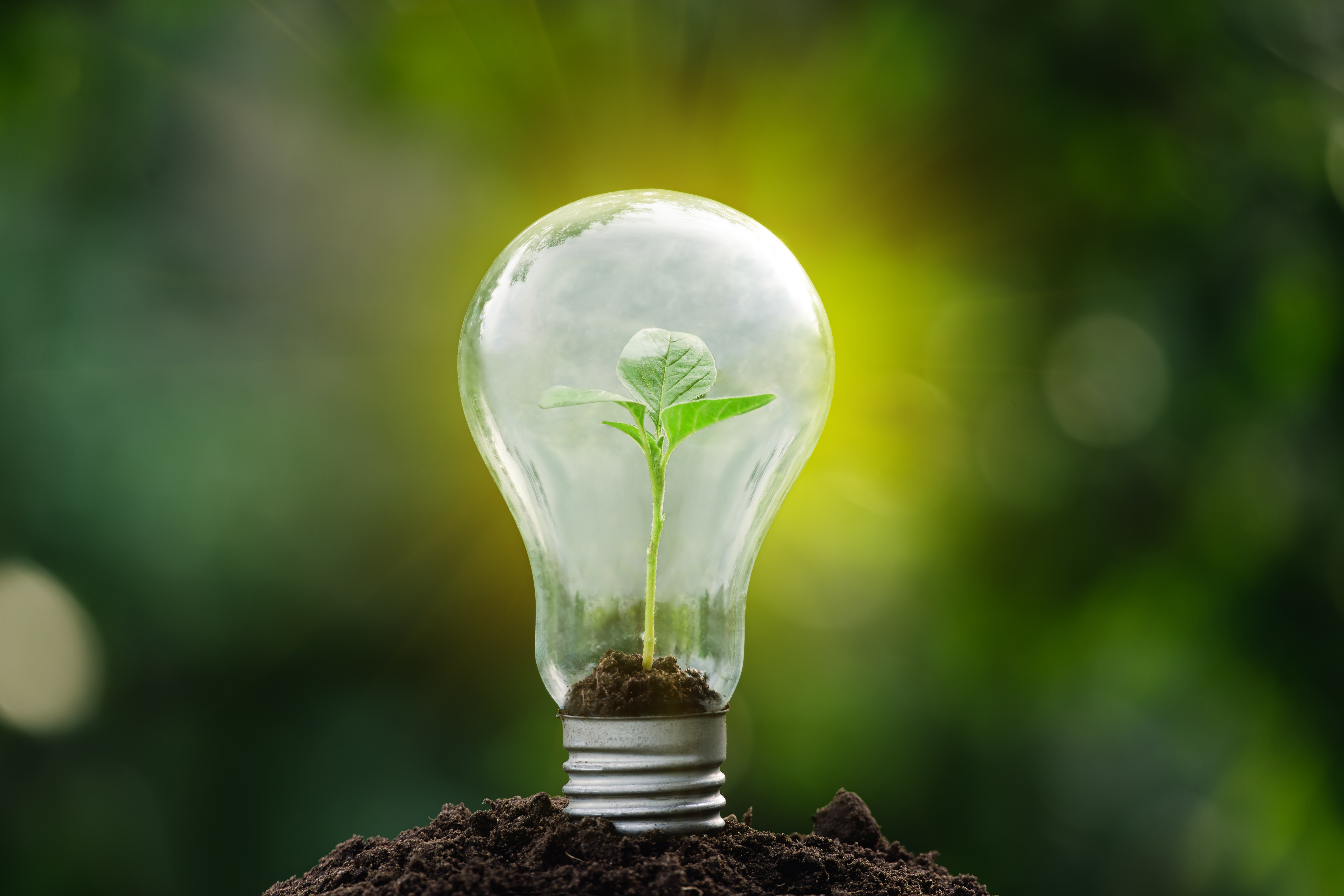 Pr&oacute;ximo art&iacute;culo sobre cadena de suministro